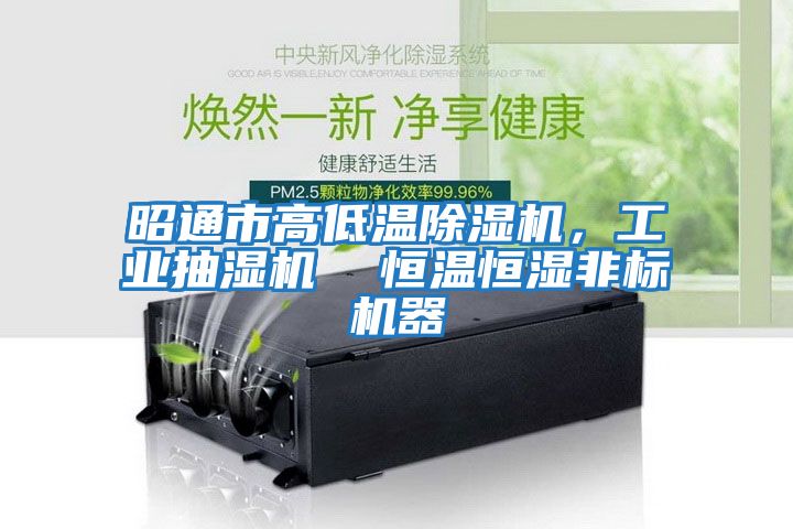 昭通市高低溫除濕機，工業(yè)抽濕機  恒溫恒濕非標機器