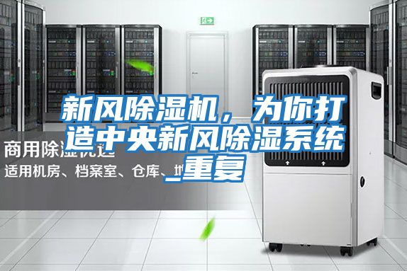 新風除濕機,為你打造中央新風除濕系統_重復