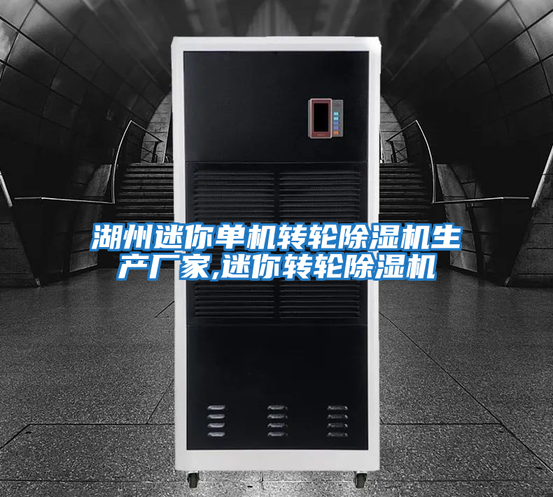 湖州迷你單機轉輪除濕機生產廠家,迷你轉輪除濕機