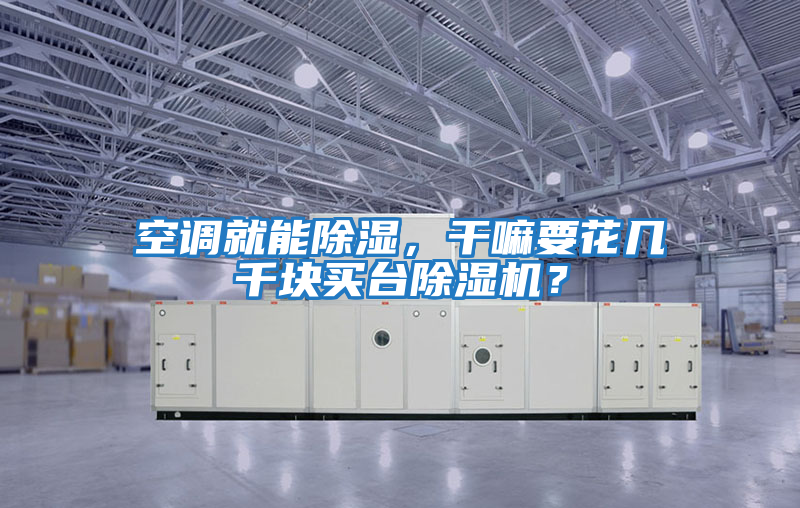 空調(diào)就能除濕，干嘛要花幾千塊買臺除濕機？