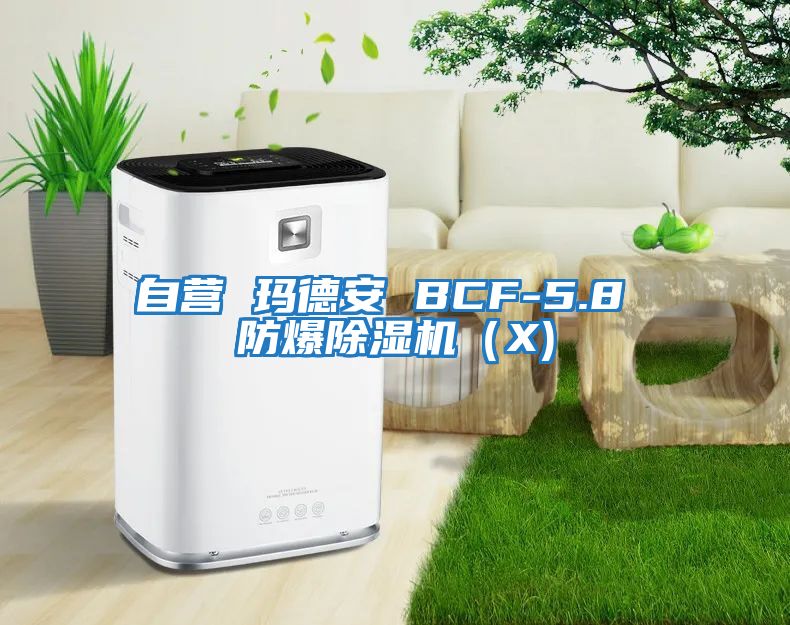 自營 瑪德安 BCF-5.8 防爆除濕機（X)