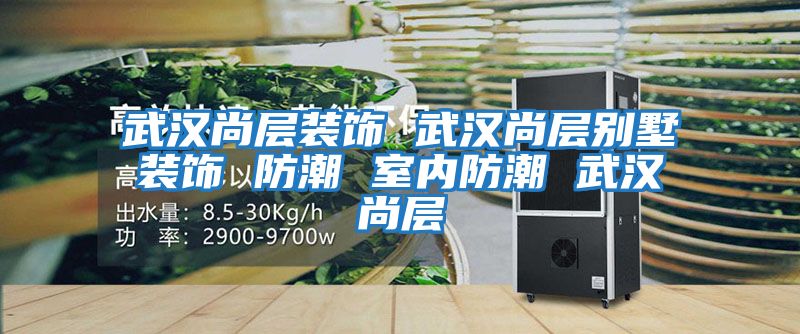 武漢尚層裝飾 武漢尚層別墅裝飾 防潮 室內防潮 武漢尚層