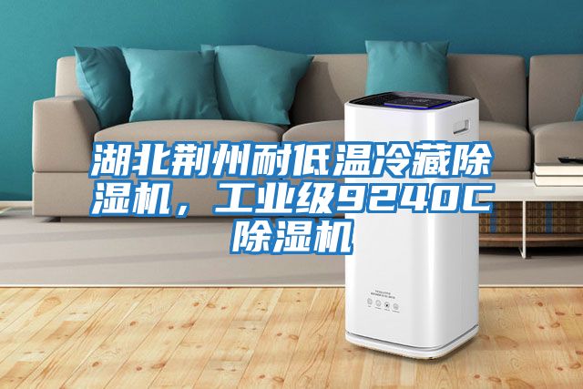 湖北荊州耐低溫冷藏除濕機，工業(yè)級9240C除濕機