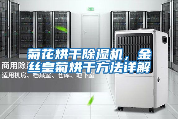 菊花烘干除濕機，金絲皇菊烘干方法詳解