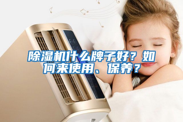 除濕機(jī)什么牌子好？如何來使用、保養(yǎng)？