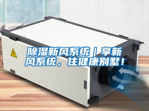 除濕新風系統|享新風系統,住健康別墅!