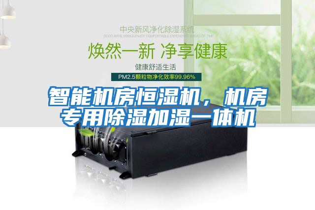 智能機房恒濕機，機房專用除濕加濕一體機