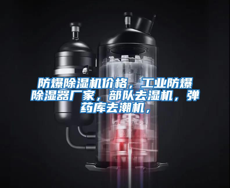 防爆除濕機價格，工業防爆除濕器廠家，部隊去濕機，彈藥庫去潮機，