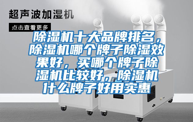 除濕機(jī)十大品牌排名,除濕機(jī)哪個牌子除濕效果好,買哪個牌子除濕機(jī)比較好,除濕機(jī)什么牌子好用實惠