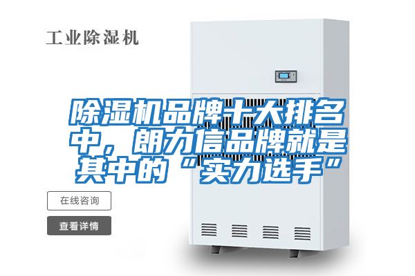 除濕機(jī)品牌十大排名中，朗力信品牌就是其中的“實力選手”