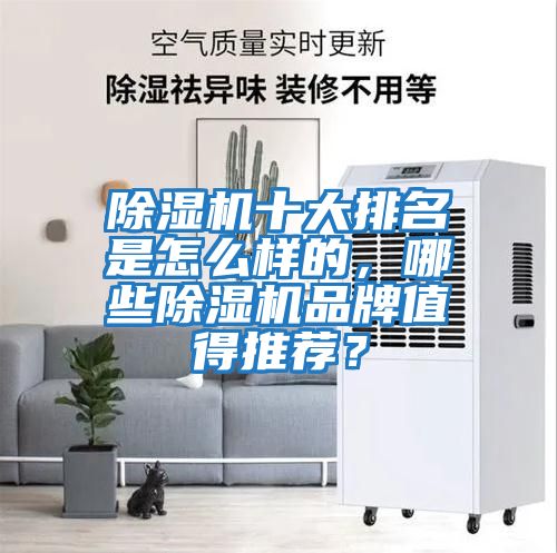 除濕機十大排名是怎么樣的，哪些除濕機品牌值得推薦？