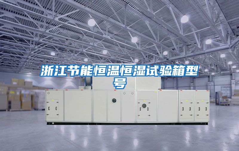 浙江節能恒溫恒濕試驗箱型號