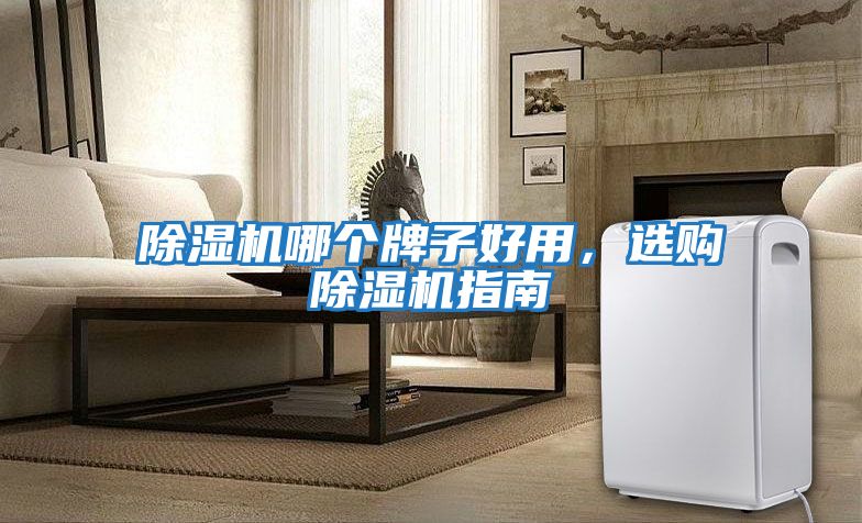 除濕機(jī)哪個(gè)牌子好用，選購(gòu)除濕機(jī)指南
