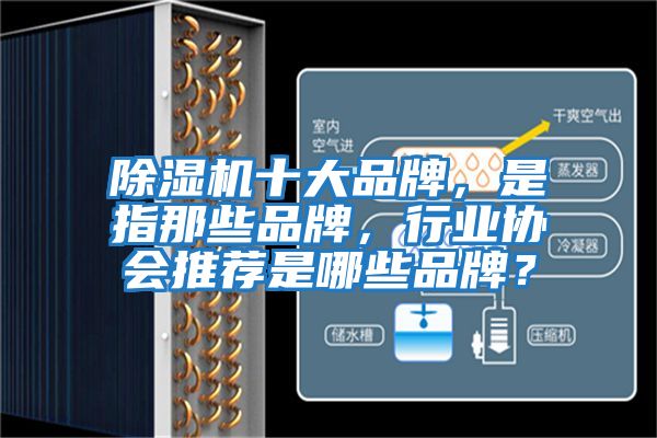 除濕機十大品牌，是指那些品牌，行業協會推薦是哪些品牌？