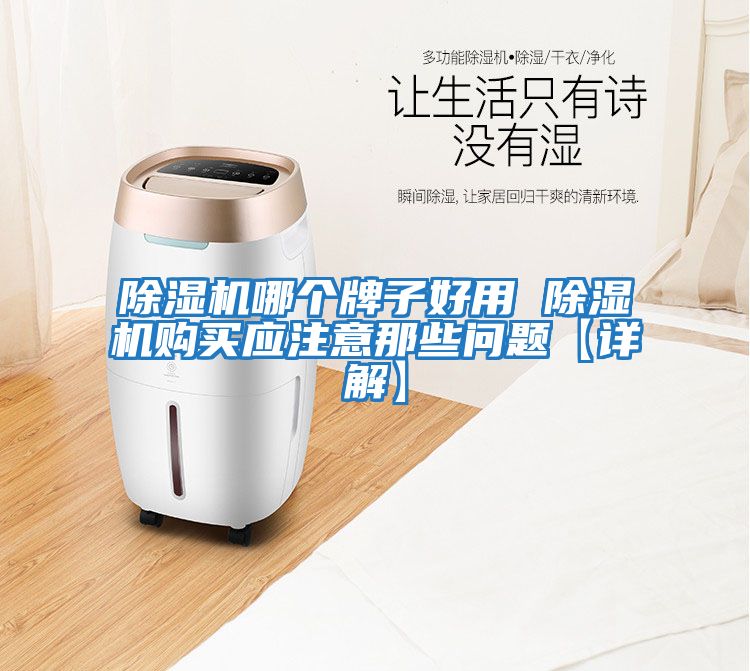 除濕機(jī)哪個(gè)牌子好用 除濕機(jī)購(gòu)買應(yīng)注意那些問(wèn)題【詳解】