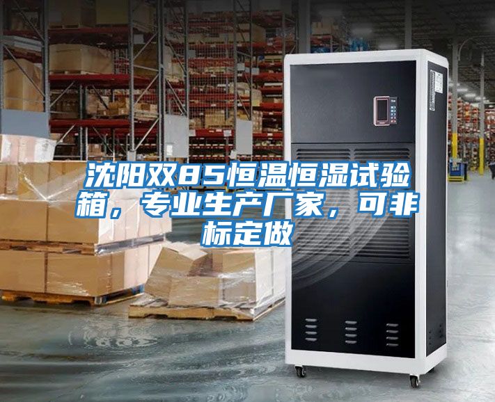 沈陽雙85恒溫恒濕試驗箱，專業生產廠家，可非標定做