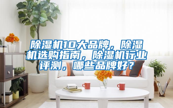 除濕機(jī)10大品牌，除濕機(jī)選購指南，除濕機(jī)行業(yè)評測，哪些品牌好？