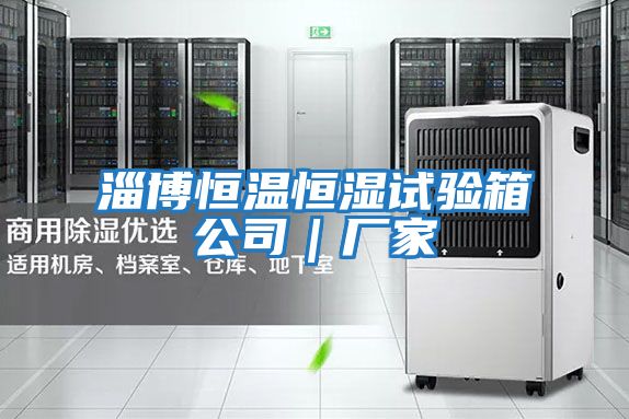 淄博恒溫恒濕試驗(yàn)箱公司|廠家