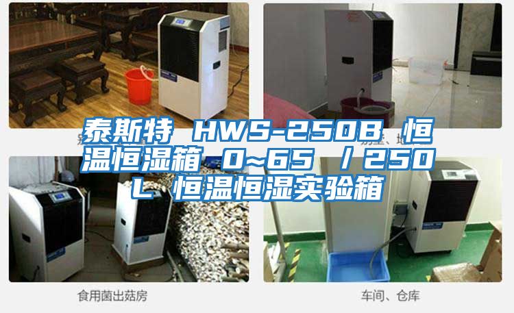 泰斯特 HWS-250B 恒溫恒濕箱 0~65℃/250L 恒溫恒濕實驗箱
