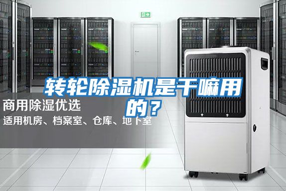 轉(zhuǎn)輪除濕機(jī)是干嘛用的?