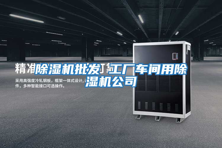 除濕機批發 工廠車間用除濕機公司