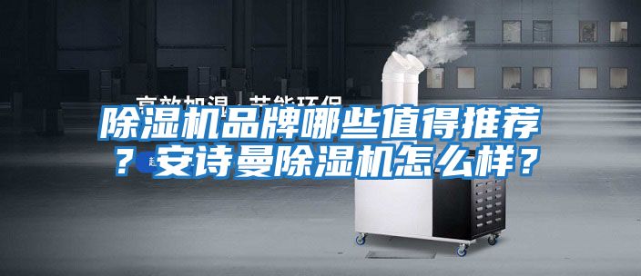 除濕機品牌哪些值得推薦？安詩曼除濕機怎么樣？