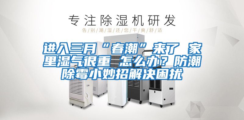 進入三月“春潮”來了 家里濕氣很重 怎么辦？防潮除霉小妙招解決困擾