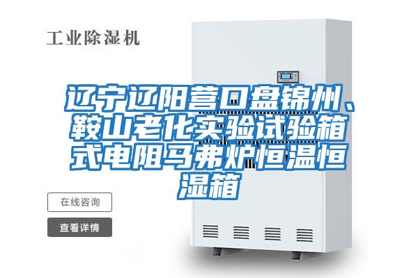 遼寧遼陽(yáng)營(yíng)口盤錦州、鞍山老化實(shí)驗(yàn)試驗(yàn)箱式電阻馬弗爐恒溫恒濕箱