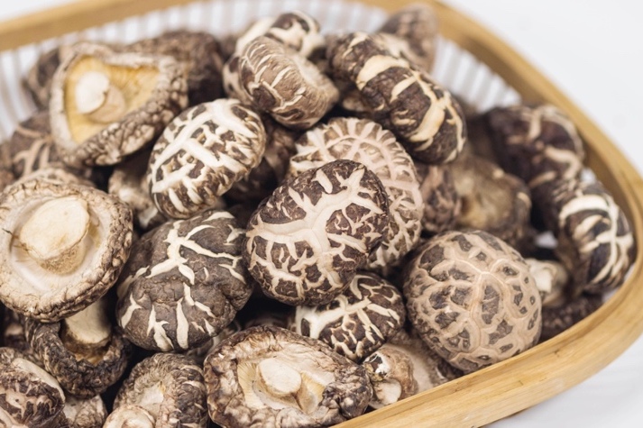 干貨倉庫怎么利用除濕機保持干爽？